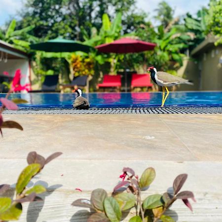The Kingslayer Resort 尼甘布 外观 照片