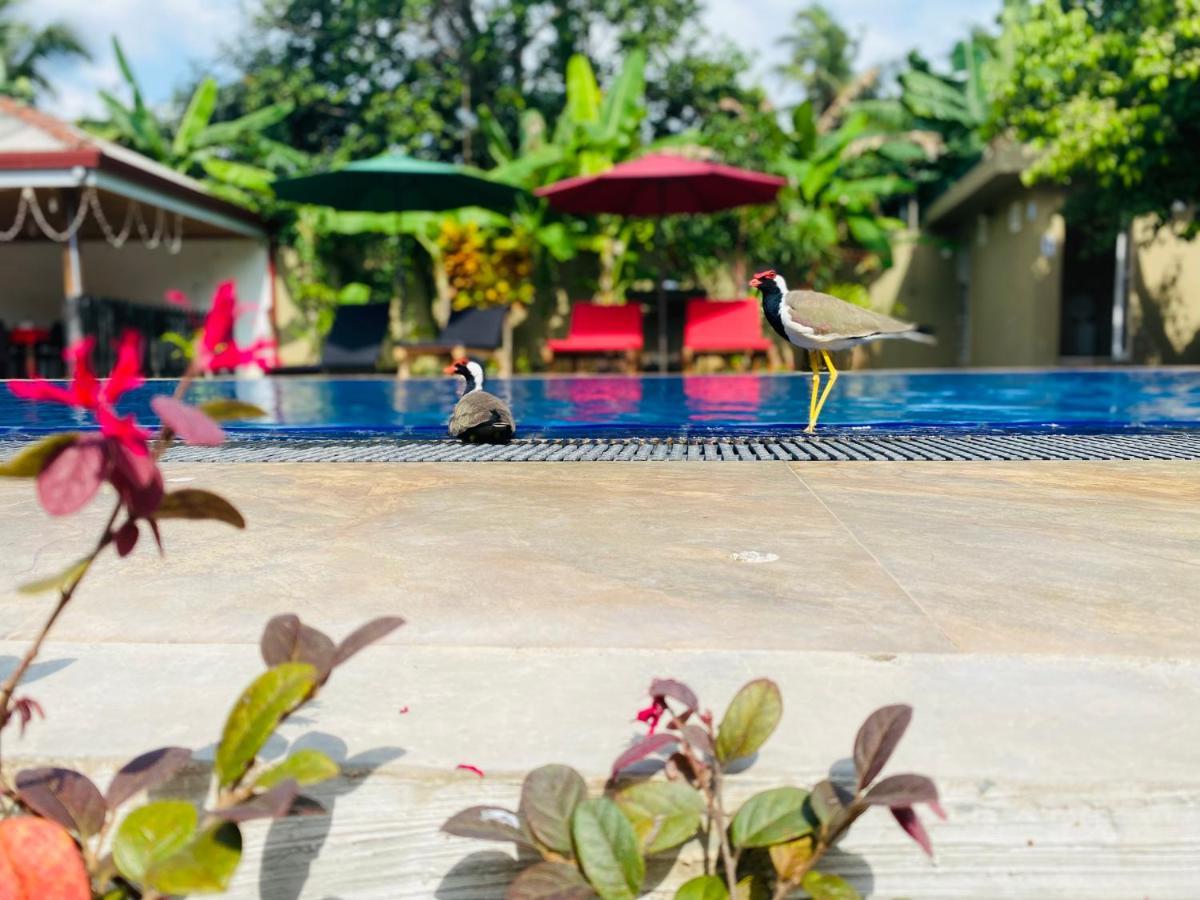 The Kingslayer Resort 尼甘布 外观 照片